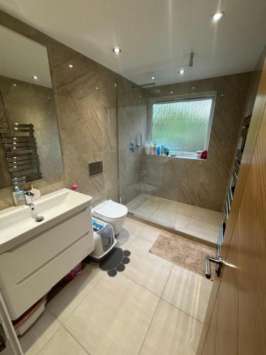 伦敦Wembley Stadium Large Double Room的一间带水槽、卫生间和淋浴的浴室