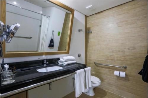 贝伦Apartamento Radisson Belém的一间带水槽、卫生间和镜子的浴室