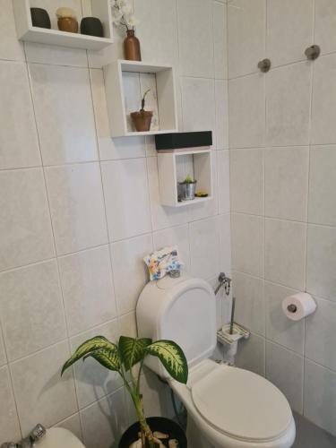 克洛伊奥斯Quarto Santiago的一间带卫生间和植物的浴室