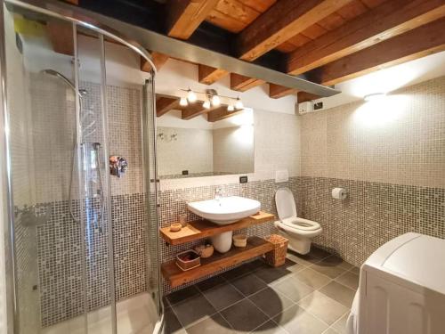 拉特乌伊莱Petit Chalet Anna的一间带水槽、淋浴和卫生间的浴室