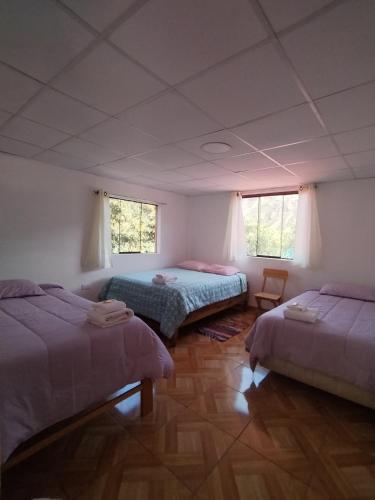 乌鲁班巴Casa familiar Rumichaca的一间卧室设有两张床和两个窗户。