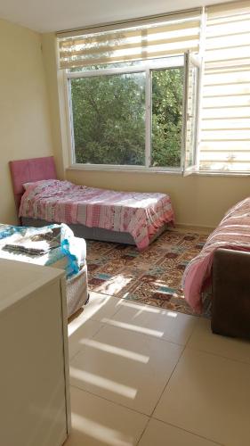 TatvanTatvan Kamp Alanı的客房设有两张床和窗户。