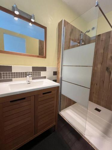 布雷斯特Duplex proche centre-ville的浴室配有盥洗盆和带镜子的淋浴