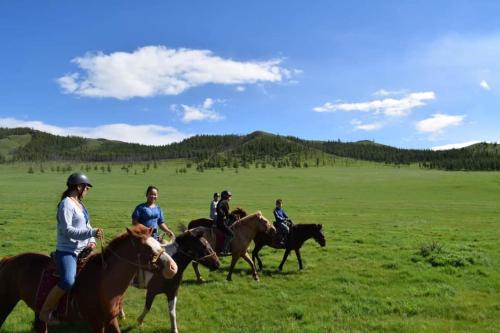 NalayhDream Adventure Mongolia的一群在田野里骑马的人