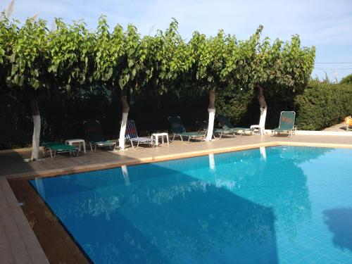 阿德里安诺斯坎波斯凯缇公寓酒店的一个带椅子和一排藤蔓的游泳池
