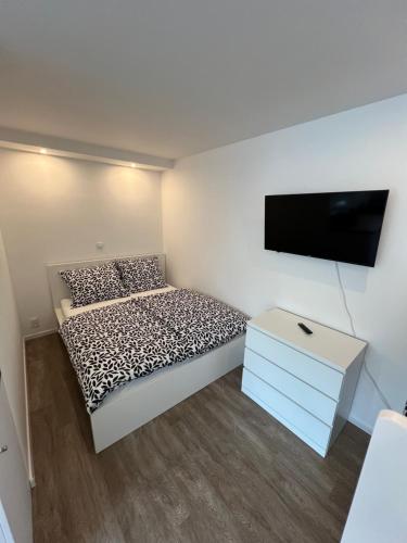 布尔诺RK Apartment的一间小卧室,配有一张床和一台平面电视