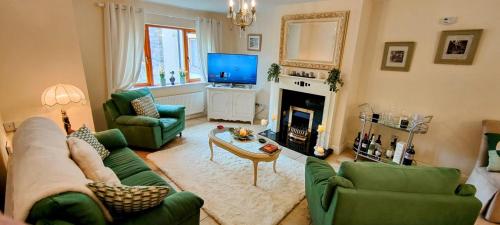 莫希尔Lough Rynn的客厅配有绿色家具和电视