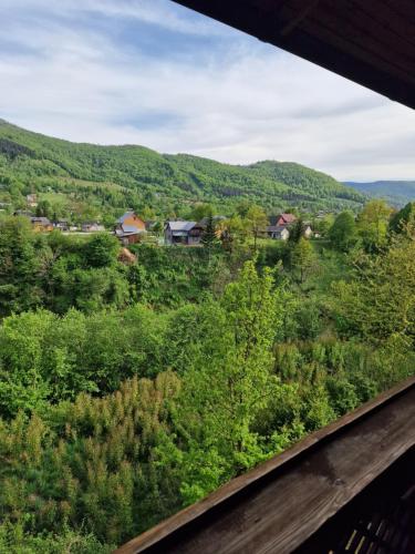 亚列姆切Гуцульська хата的从森林的火车窗口欣赏美景