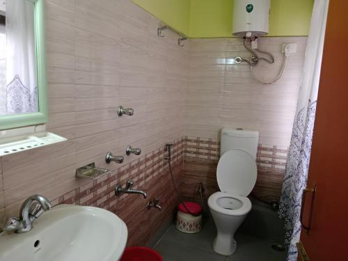 甘托克Zimkhang Guesthouse的一间带卫生间和水槽的小浴室