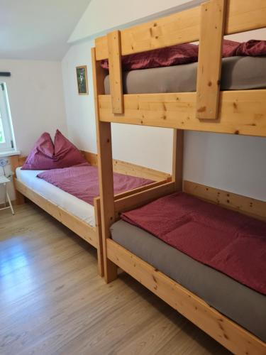 塔克森巴赫Ferienhaus Forsthof的一间卧室配有两张双层床。