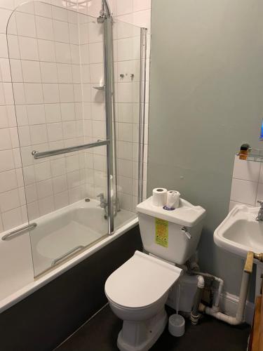彻特西奥尔德天鹅酒店的浴室配有卫生间、淋浴和盥洗盆。