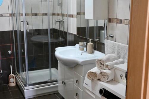 维尼斯切Apartment Leonora的一间带水槽和淋浴的浴室