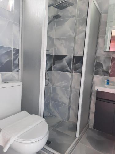 帕莫卡莱乌云姆酒店的一间带卫生间和淋浴的浴室