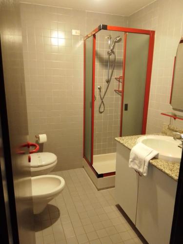 摩德纳迪-坎皮格里奥Residence Rio Falze' Campo Carlo Magno的浴室配有卫生间、淋浴和盥洗盆。