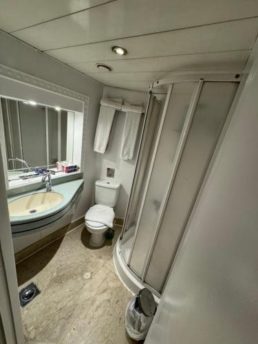 开罗Queen Isis floating hotel的一间带卫生间和水槽的浴室