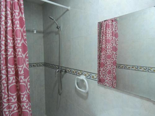 卡拉塔尤德Duplex casco historico的一间带镜子和小便器淋浴的浴室