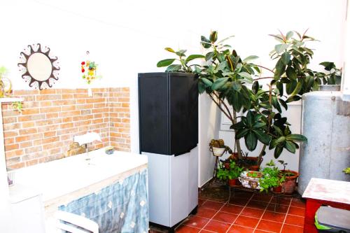 布林迪西La Terrazza sul Tempio的浴室设有黑白冰箱和植物