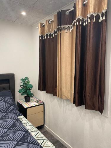 比伦德Private Rooms in center of Billund的卧室配有棕色窗帘、床和植物