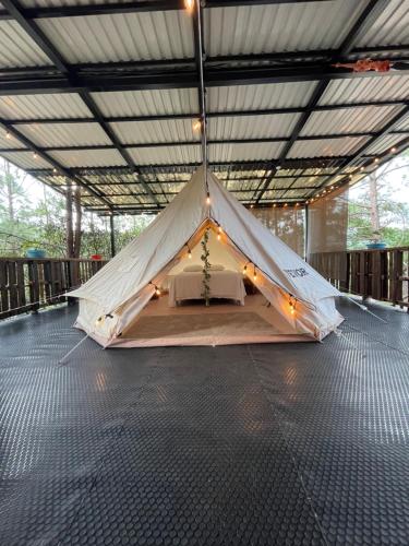 安赫莱斯镇Glamping Anturios的一间有床的房间的帐篷