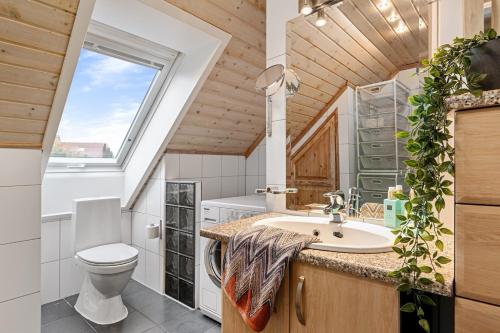 NærbøLeilighet i Nærbø sentrum的一间带卫生间水槽和窗户的浴室