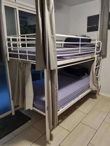 卡伦德拉Hostel-Style GUESTHOUSE - for 18-40yrs的配有紫色双层床的客房内的双层床