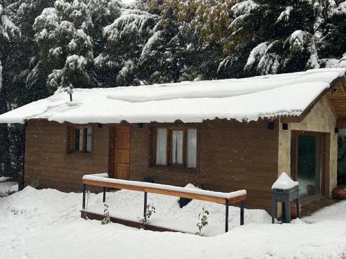 圣卡洛斯-德巴里洛切Casa con vista al lago的屋顶上积雪的小小屋