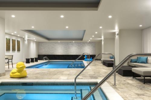 达文波特爱荷华州柯伦特傲途格精选酒店的一座游泳池,里面放着黄橡皮鸭