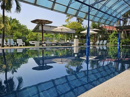 北碧Thai Garden​ Resort​ Kanchanaburi​的一个带椅子和遮阳伞的游泳池