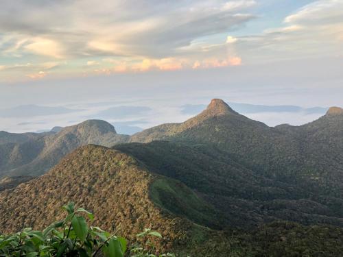 纳拉坦尼亚Hotel mango tree nearest Adam's peak的享有远处山脉的美景