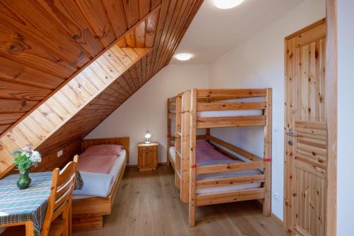 WernbergBauerborchardt - Urlaub am Bauernhof bei Familie Borchardt的一间卧室设有两张双层床和梯子