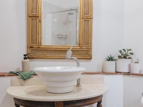 彼得马里茨堡Wylde Rose Cottage的浴室设有白色水槽和镜子