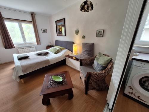 罗维尼PaKua apartments & Penthouse的卧室配有1张床、1张桌子和1把椅子