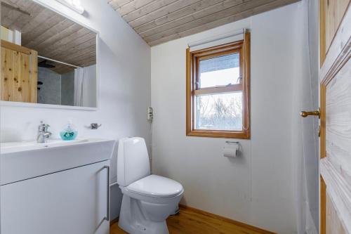 ÚthlidCabin Úthlíð - Birta Rentals的一间带卫生间、水槽和窗户的浴室