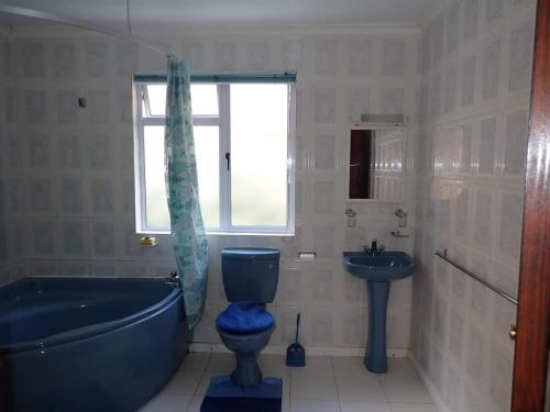 JamestownValley View的浴室配有蓝色浴缸、卫生间和水槽。