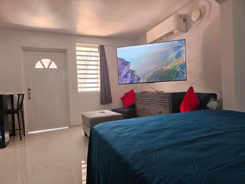 马亚圭斯Nala's Studio的一间卧室配有一张床和一台平面电视