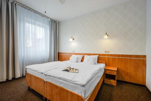 凯尔采布里斯托尔酒店 的配有一张床和一张书桌的酒店客房