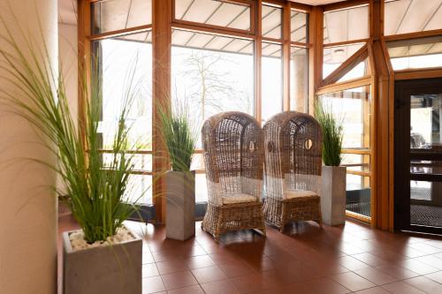 基尔基尔阿卡德米尔诺富姆酒店的三个鸟笼坐在植物间