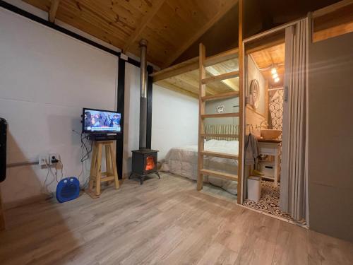 波特雷里约斯TINY HOUSE Potrerillos的一间卧室配有一张双层床、一台电视和一个壁炉