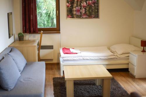 多纳瓦利Apartmány a štúdiá Kamzík Donovaly的客房设有床、沙发和桌子。