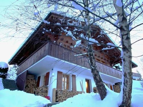 阿克斯普Chalet Specht, gemütliches Ferienchalet auf der Axalp的雪覆盖着树的房子