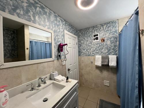 布鲁克林3 bedrooms in Modern Brooklyn home, Close to J train的一间带水槽和镜子的浴室