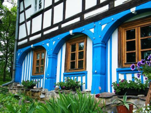 希维拉杜夫-兹德鲁伊Gesamtes Ferienhaus in Wolimierz mit Offenem Kamin的蓝色和白色的房子,窗户和鲜花