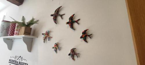 昆卡El Rincon de Ale的挂在墙上的一群蝴蝶
