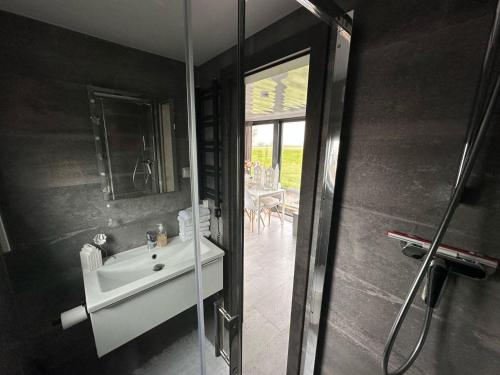 兹瓦茨勒伊斯Cozy Houseboat in Zwartsluis的一间带水槽和玻璃淋浴的浴室