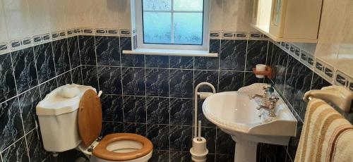 DunkineelyVillage Cottage的一间带卫生间和水槽的浴室