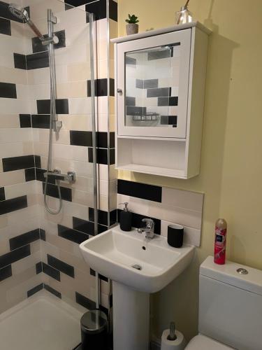 巴塞尔顿Stylish 2 Bedroom Home In Essex的一间带水槽和淋浴的浴室