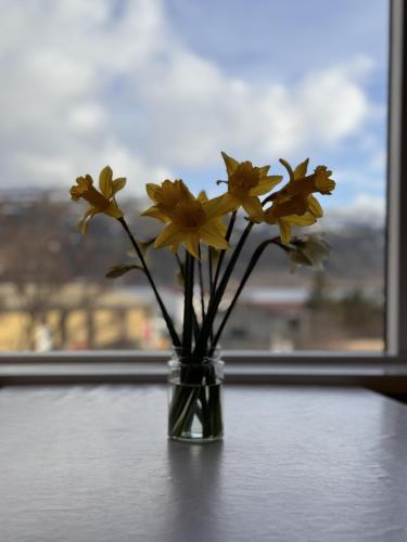 TalknafjordurGuesthouse Tálknafjörður的摆在桌子上的花瓶,上面装着黄色的花