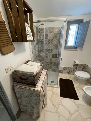 马丁纳弗兰卡Trullo Barratta的浴室设有卫生间和带水槽的淋浴。