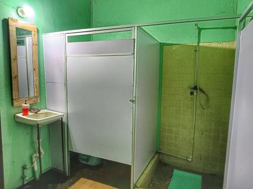 圣安娜Casa isabel的绿色浴室设有淋浴和水槽
