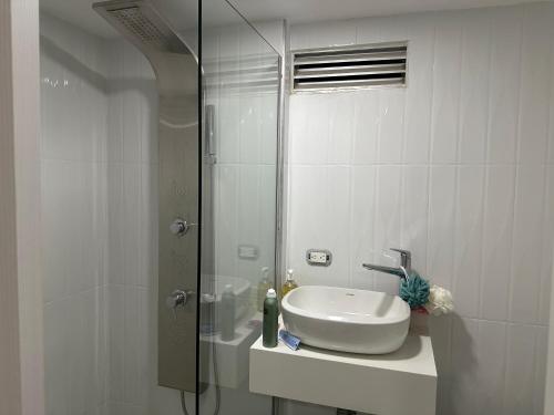 巴兰基亚Apartamento nuevo amoblado的一间带水槽和玻璃淋浴的浴室